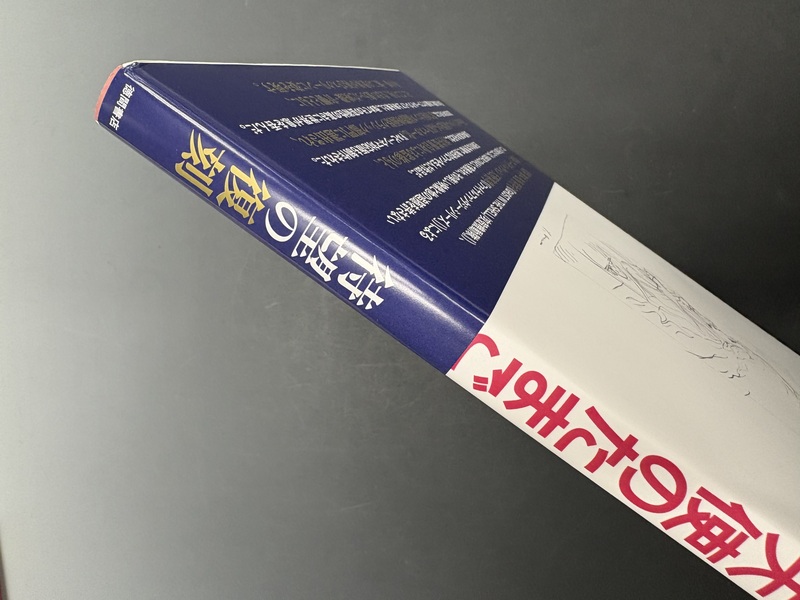 古書 ］THE ART OF 天使のたまご 増補改訂復刻版（アニメージュ編集部