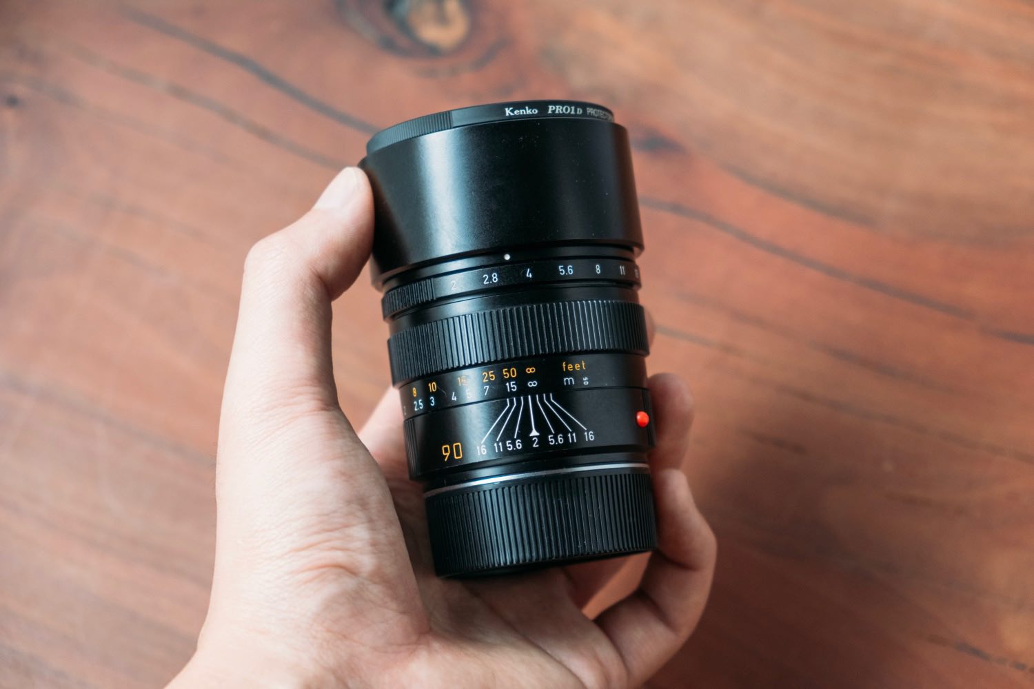 作例】Summicron 90mm F2 3rdレビュー。抜群の解像力で被写体を繊細に