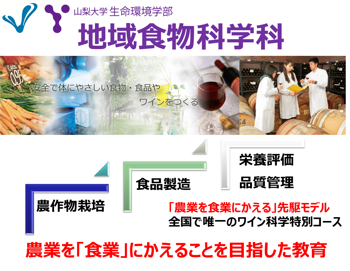 学科の概要 - 山梨大学生命環境学部地域食物科学科