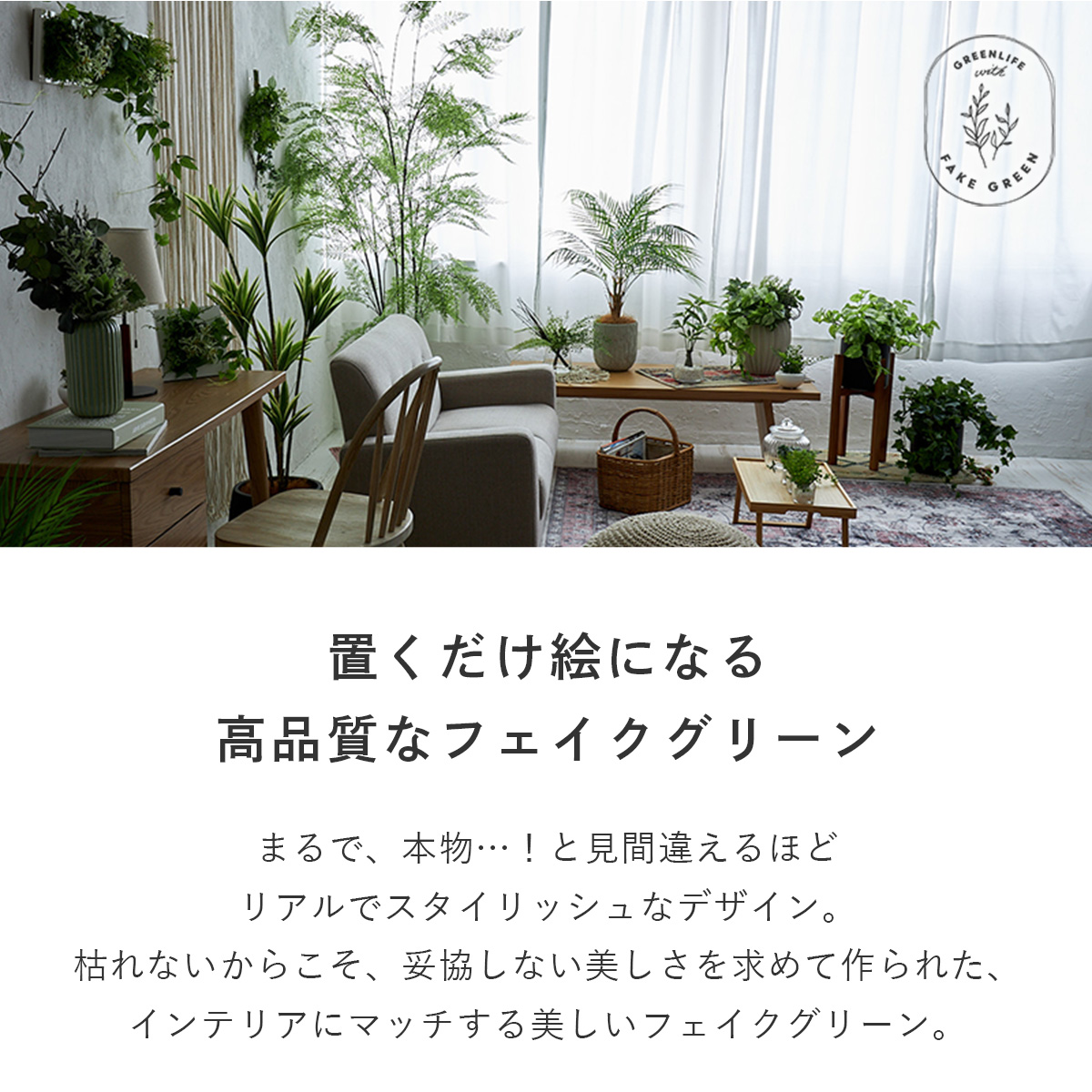 壁掛けグリーン マリモxシノブ 和モダン グリーン | オーダー