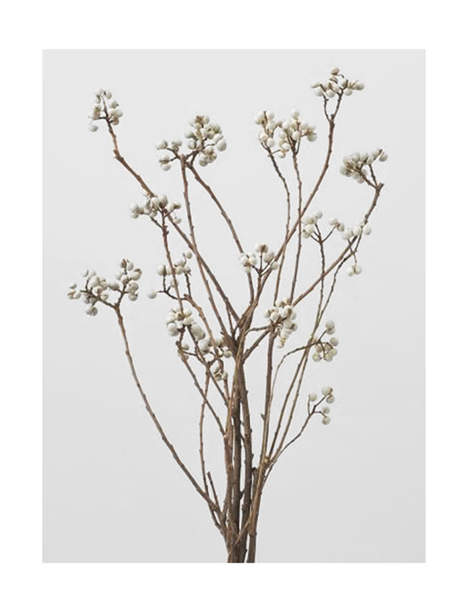 大地農園・ナンキンハゼ・ステム付き・N | プリザーブドフラワーKnext