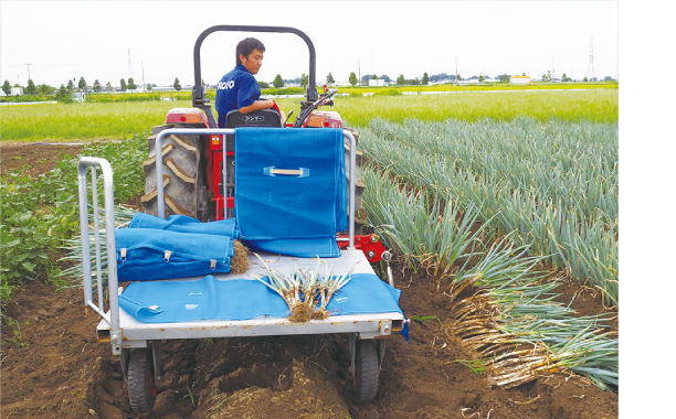 白ネギ掘取機 – 広洋エンジニアリング