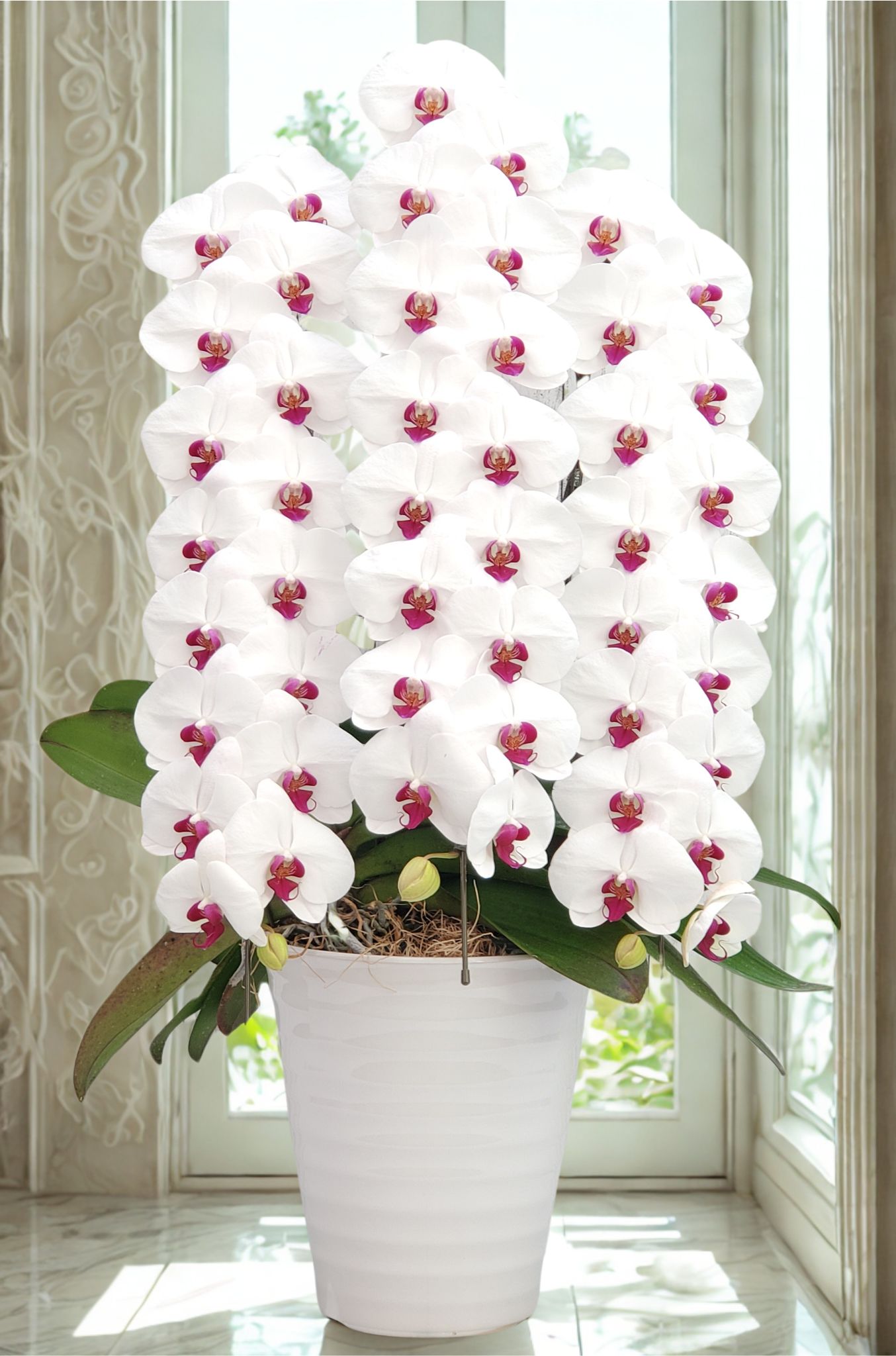 宮崎県宮崎市の洋蘭の美翔｜全国トップクラスの胡蝶蘭専門店