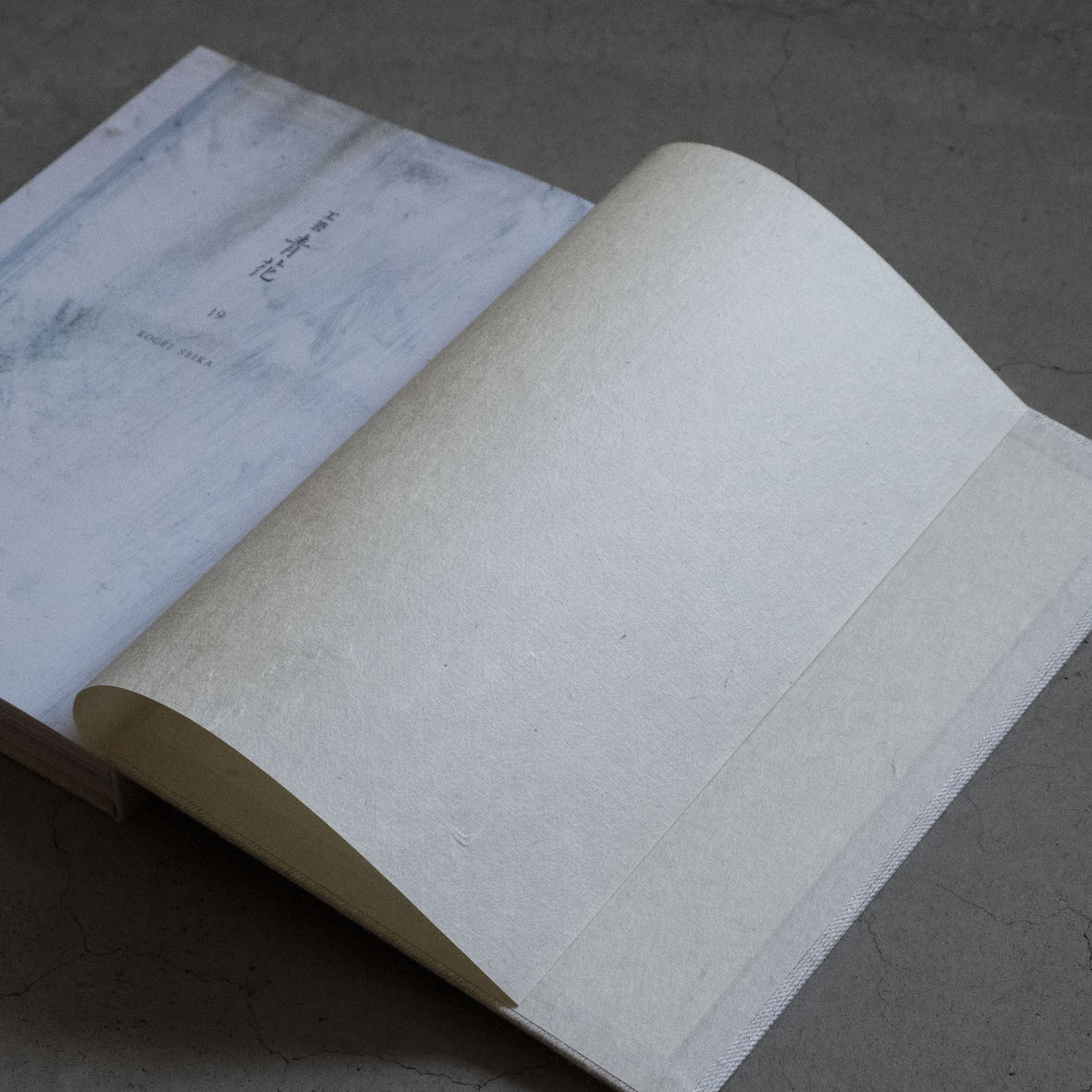 工芸青花 19号 | 本 | 工芸青花 kogei-seika