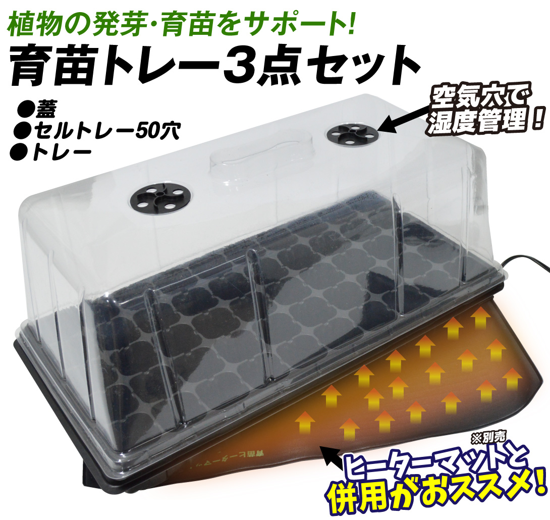 ビカクシダ、育苗トレー12個セット③Robin①Cgoul4711 育苗ポット