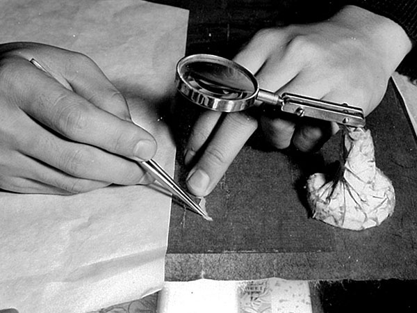 一般社団法人 国宝修理装潢師連盟｜Home