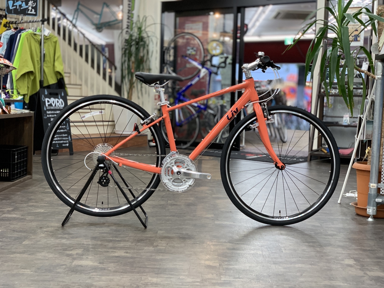 新モデル入荷！】2020 ESCAPE R3W【クロスバイク・女性モデル