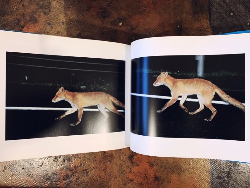 大橋仁写真集 いま ｜ 2005年初版・青幻舎 ｜ 写真集 | 古本・版画