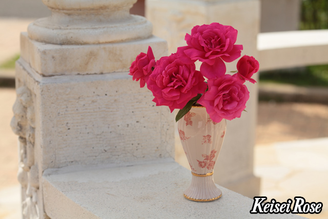 王妃アントワネット® - 商品ラインナップ - ベルサイユのばら - 京成