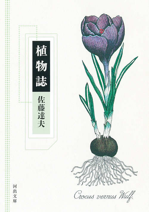 植物誌 :佐藤 達夫 | 河出書房新社