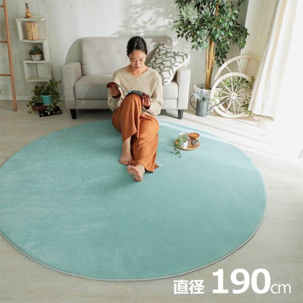ラグ 洗える さらふわラグ 130x190cm ホリデープラス 15色対応 ホット