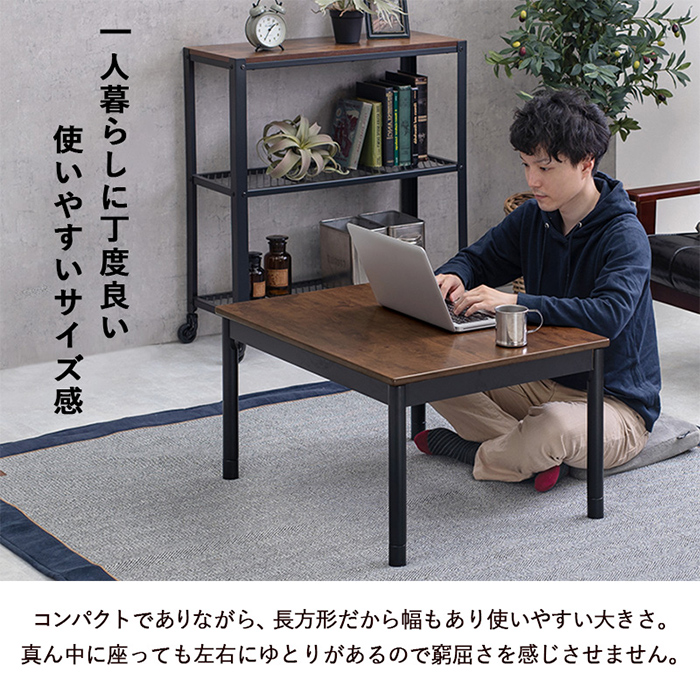 こたつセット こたつ＋うす掛け布団 2点セット アルテナ7560+ビケ7560