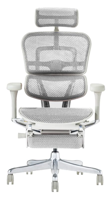 エルゴヒューマンチェア PRO2 オットマン付き グレーフレーム 張地