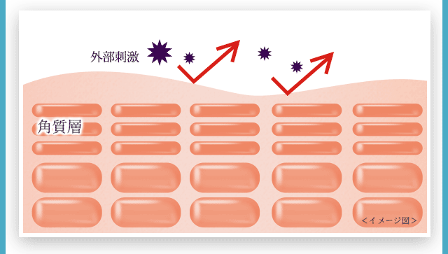 北の快適工房 みんなの肌潤糖 クリアタイプ 4袋セット 北の快適工房