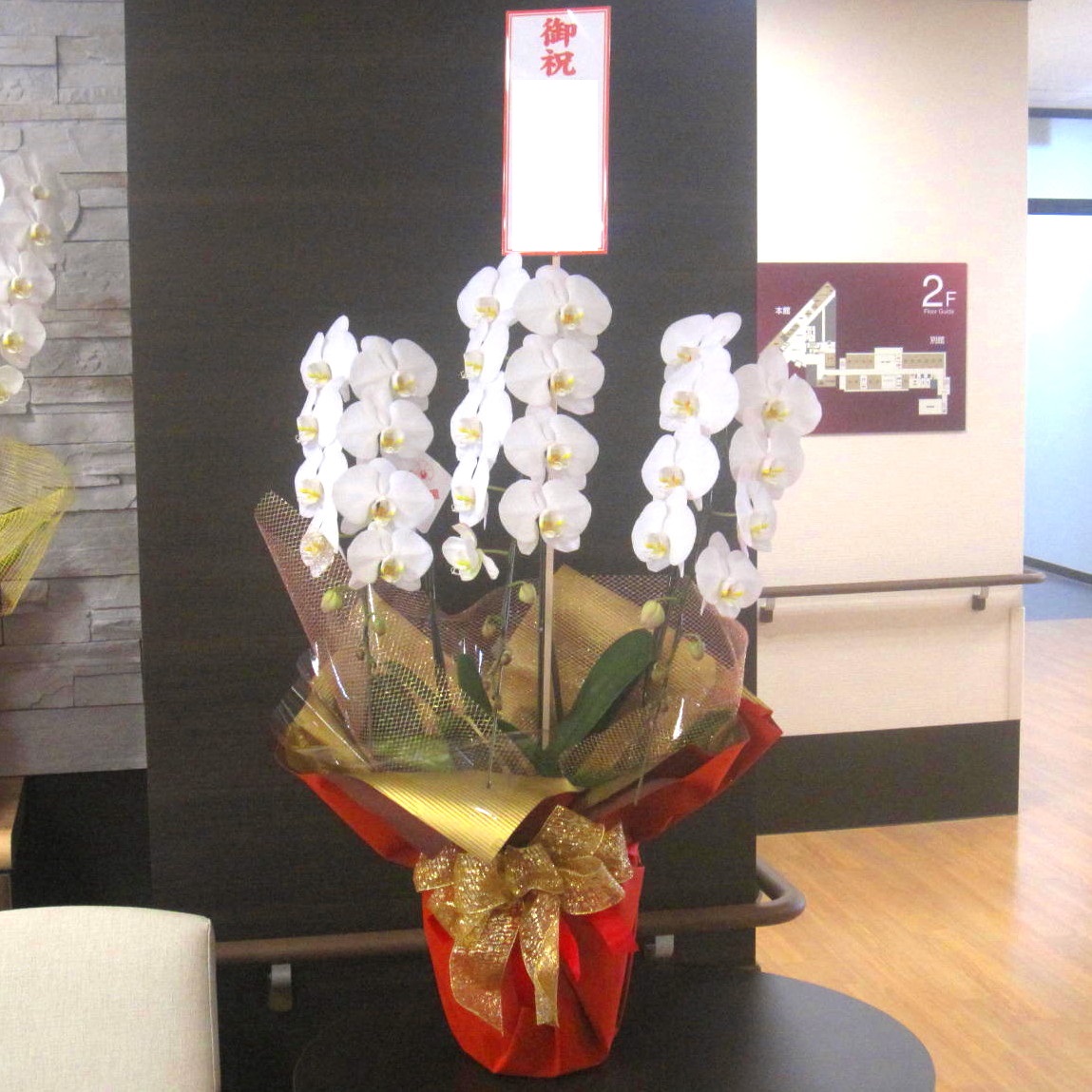 Premium White-胡蝶蘭～高級ラッピング～｜商品詳細