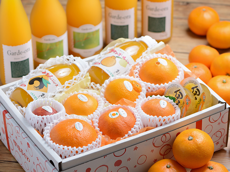 季節のセット＆フルーツ詰合せ | のま果樹園