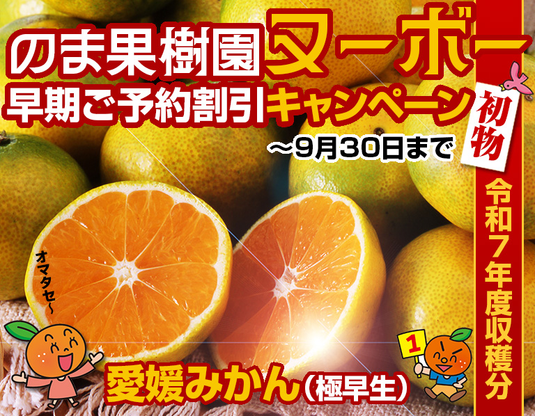 のま果樹園ヌーボー 早期割引キャンペーン | みかん専門店・愛媛みかん