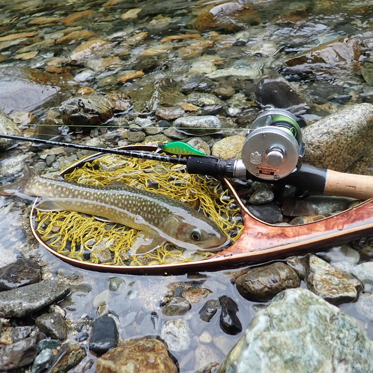 上飯田取扱商品＜トラウト-フェンウィックロッド＞