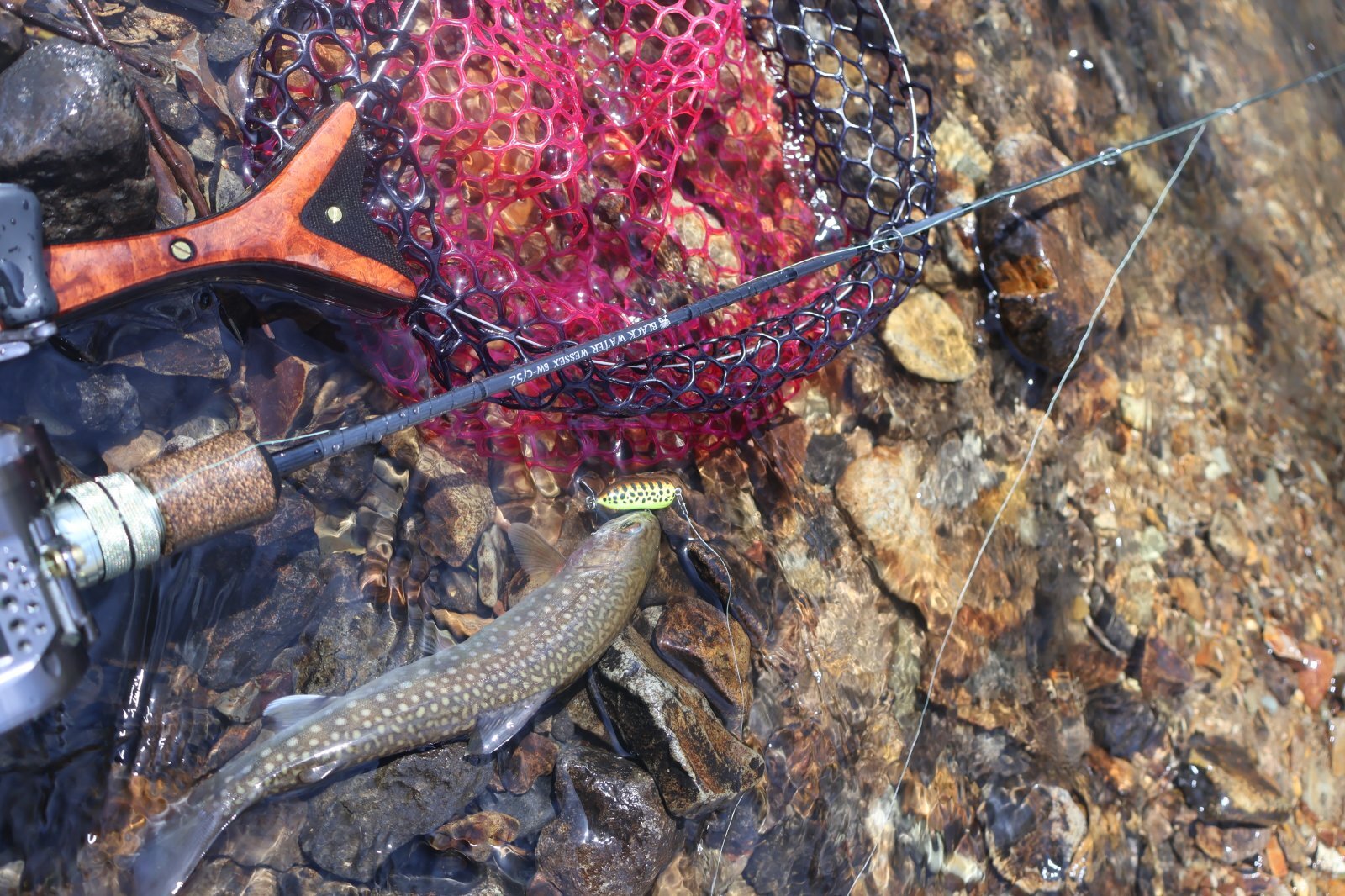 ☆ストリームチューン！Heddonティニートーピード・ウェイテッド