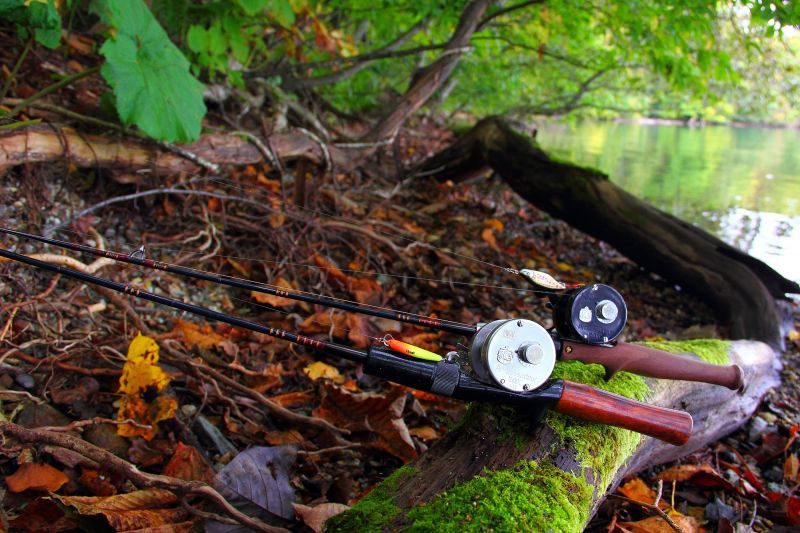 ☆入荷しました☆WESSEX ウェセックストラウトロッド／ベイト WSE-C/5