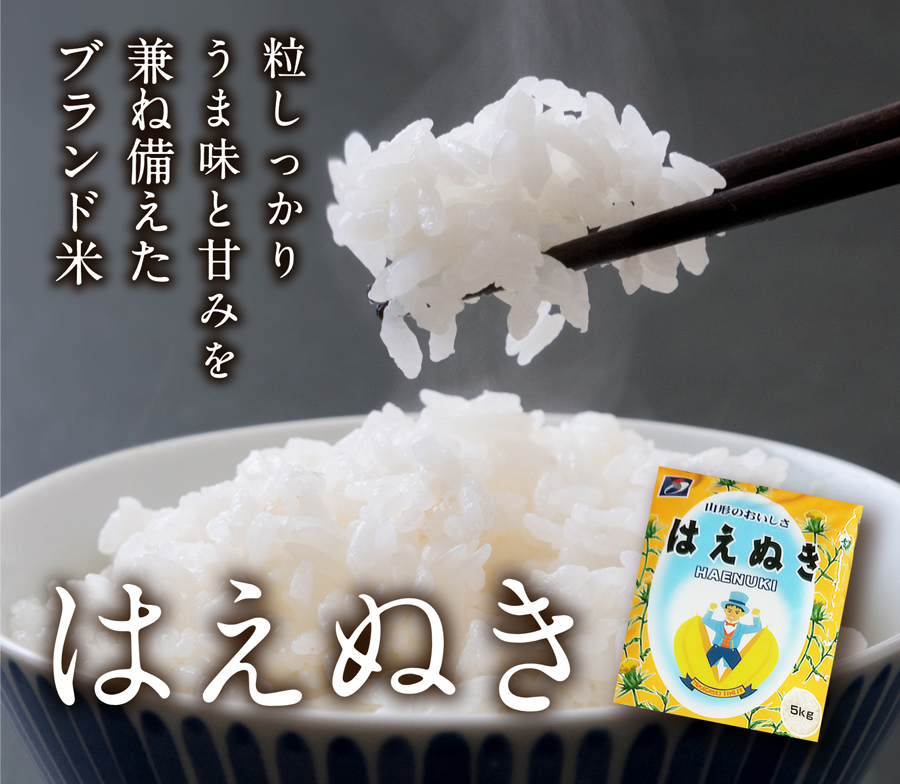 山形県が全国に誇る銘柄米。「はえぬき」5kg【令和7年産新米】