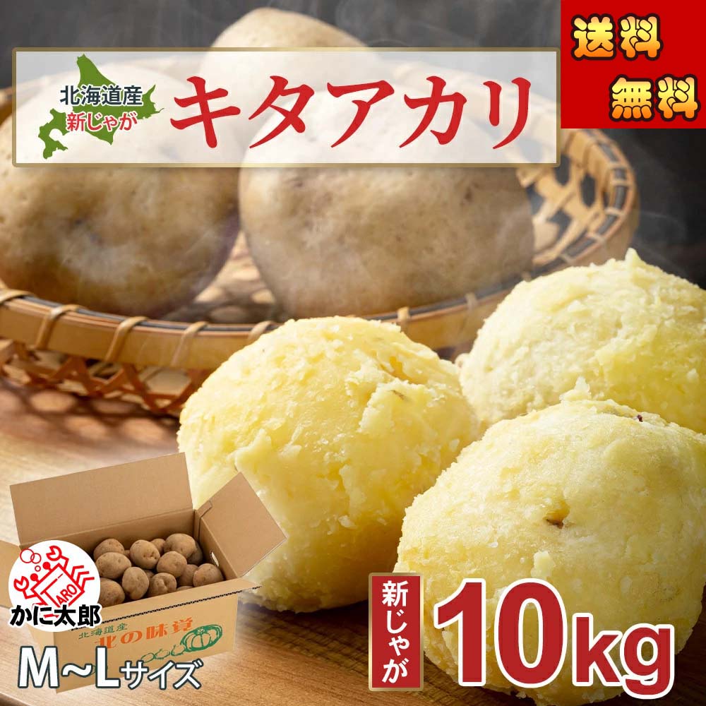 北あかり 北海道のじゃがいもを産地直送