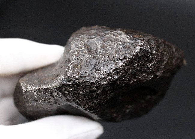 レグマグリップが美しい！重量級！最も有名な鉄隕石の一つ