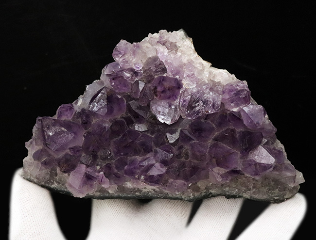 迫力のクラスター、深紫色のブラジル産アメシスト（Ametyst）の原石