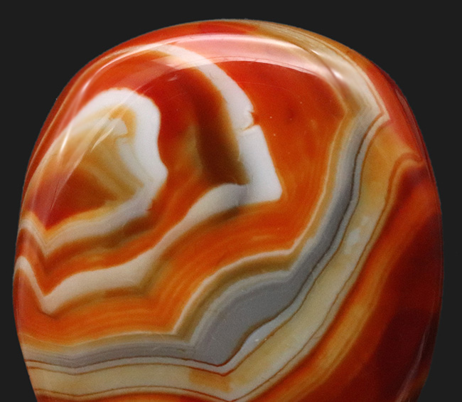 見ているだけで幸せになる、思わずため息が漏れるほどカラフルな