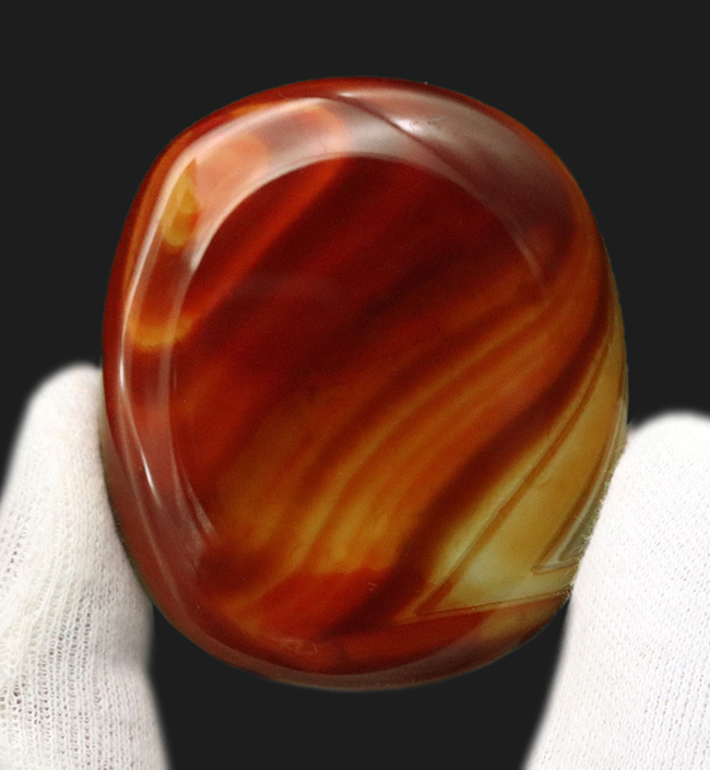 見ているだけで幸せになる、思わずため息が漏れるほどカラフルな