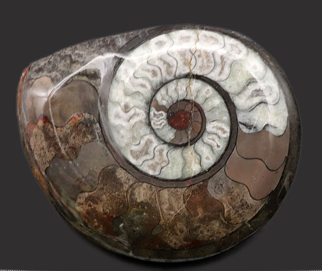 色良し、状態良し、サイズ良し、三拍子揃ったコレクショングレードの