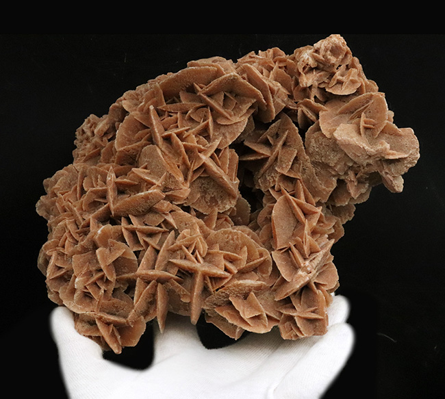 19センチ級！ 美しい結晶が織りなす、サハラ砂漠が生んだ美しき鉱物