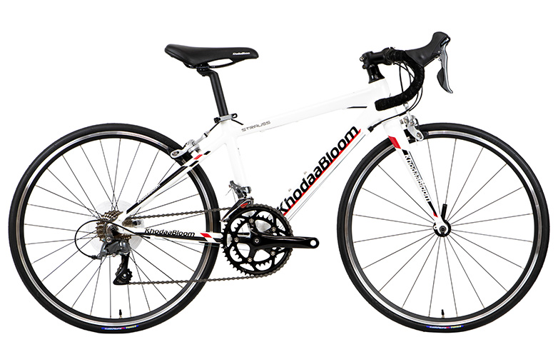 STRAUSS 24 - KhodaaBloom