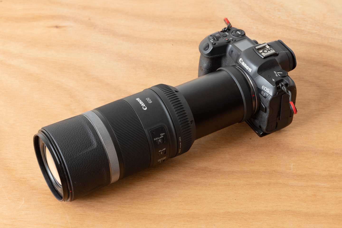 キヤノン RF600mm F11 IS STM レビュー｜引き寄せ効果が楽しい軽量
