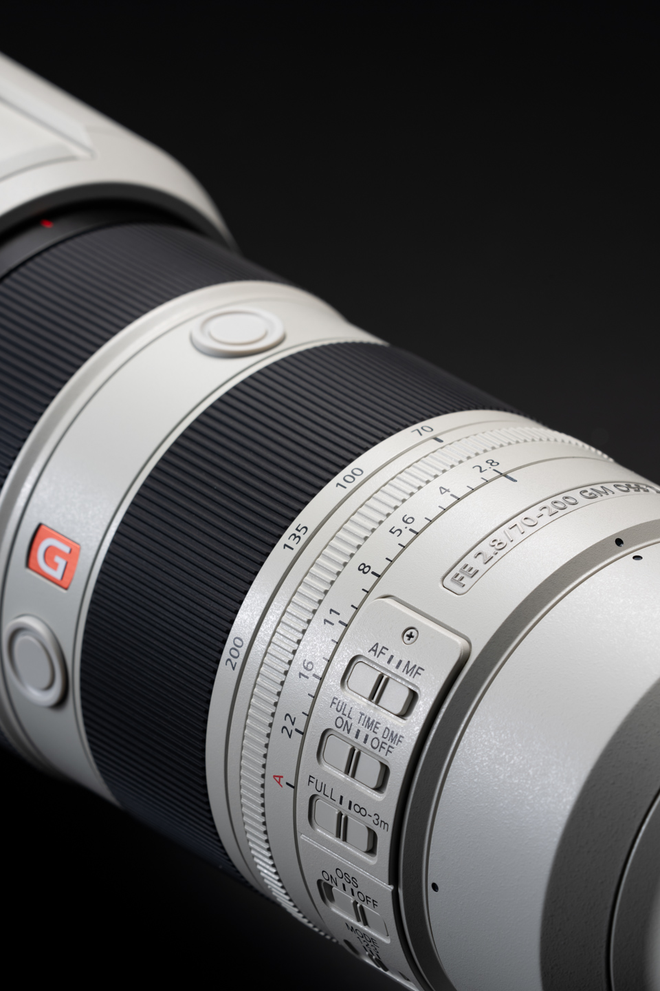 ソニー FE 70-200mm F2.8 GM OSS II レビュー｜鳥がいる風景撮影には