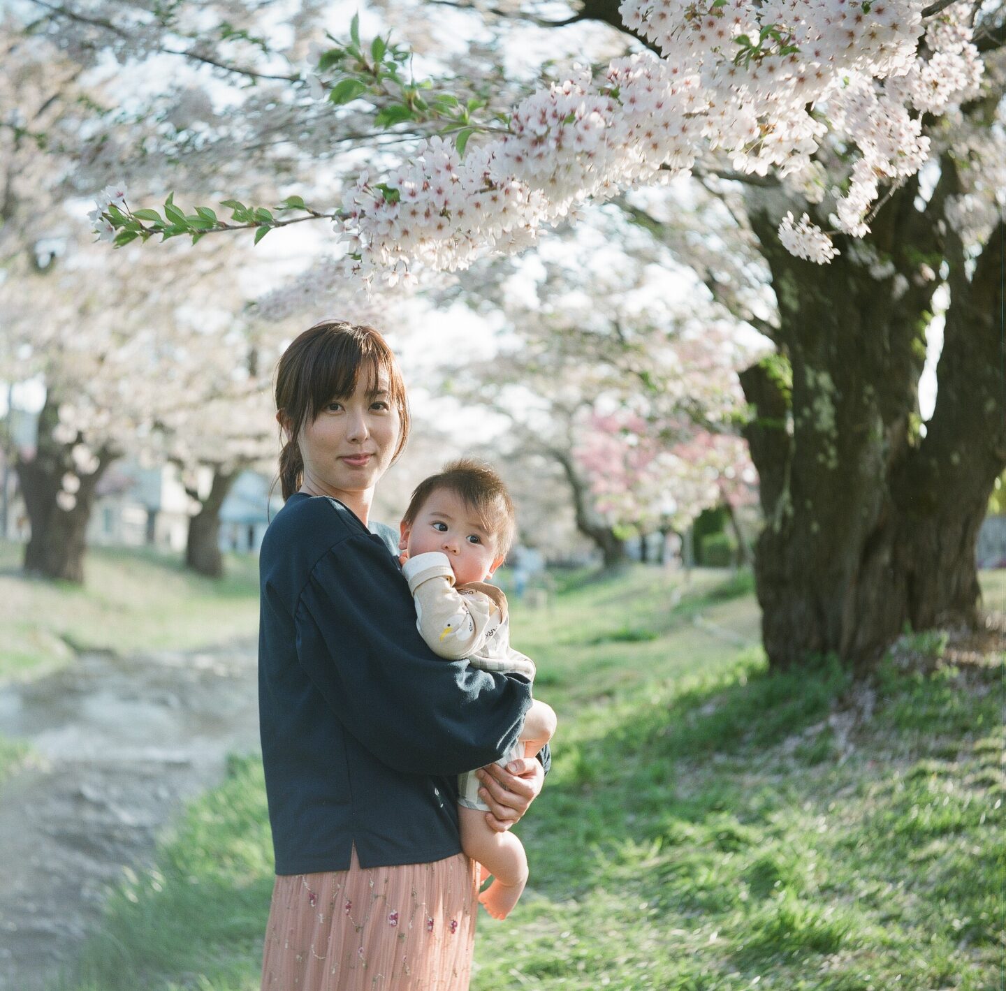 第4回フィルムカメラを始めよう！中判スタートに国産二眼レフはいかが