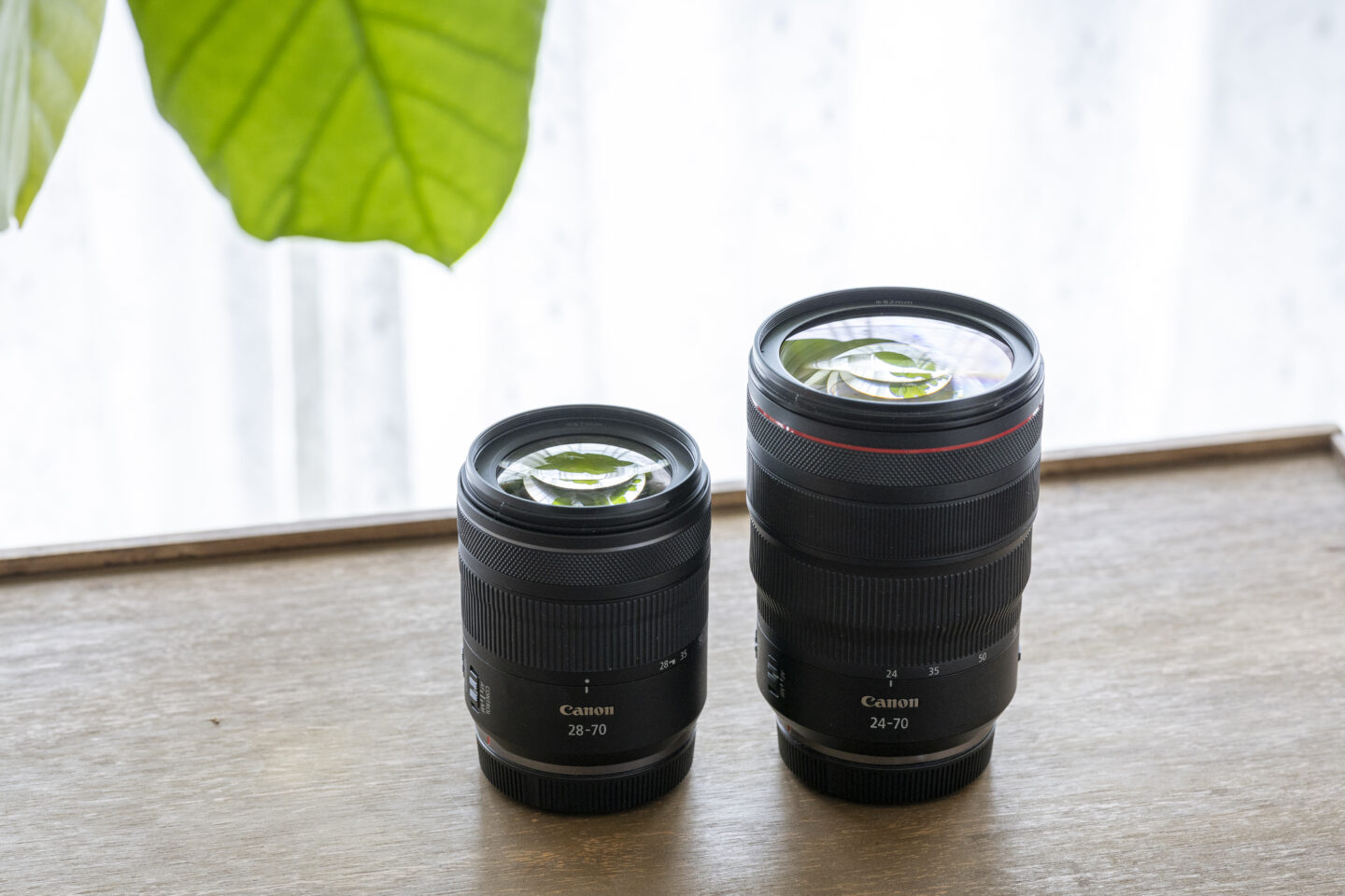 キヤノン RF28-70mm F2.8 IS STM｜日常を軽やかに写しとめるレンズ