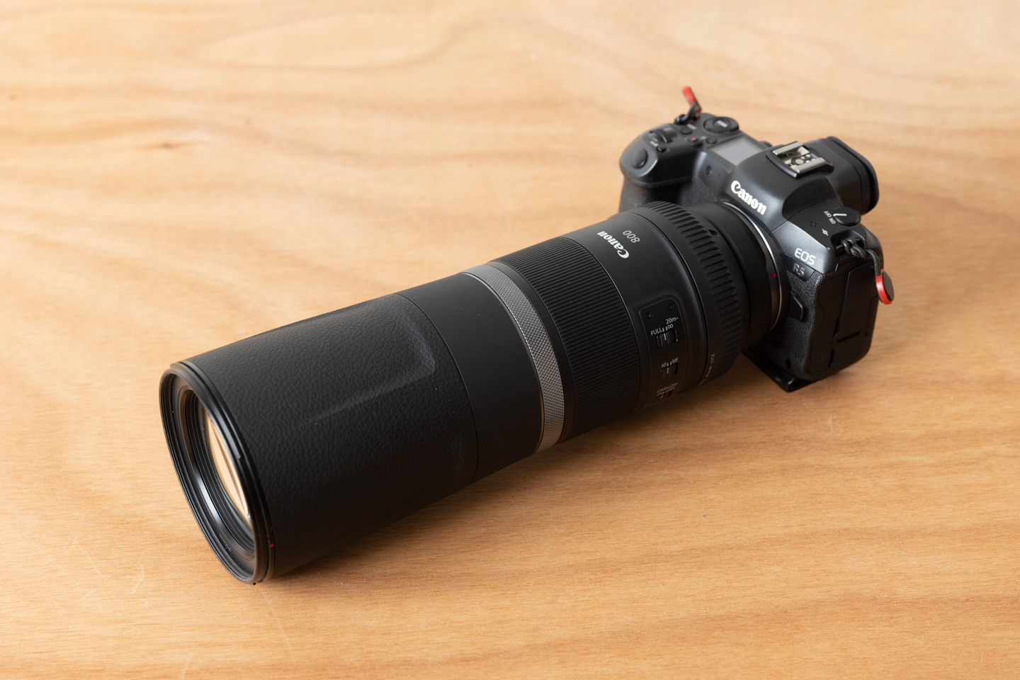 キヤノン RF800mm F11 IS STM レビュー｜超望遠で見える別世界 | ShaSha