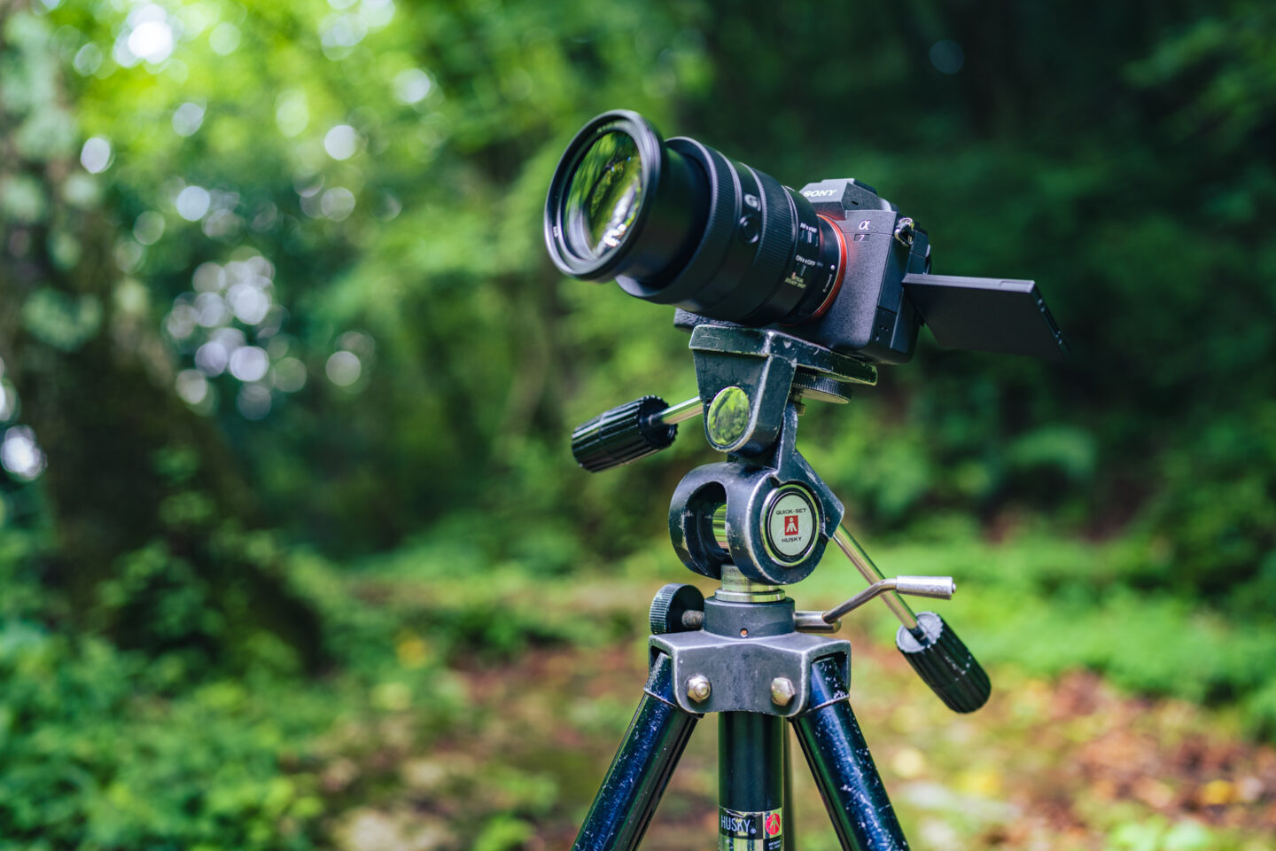 Sony a6300 動画撮影セット hq720.jpg?sqp=-