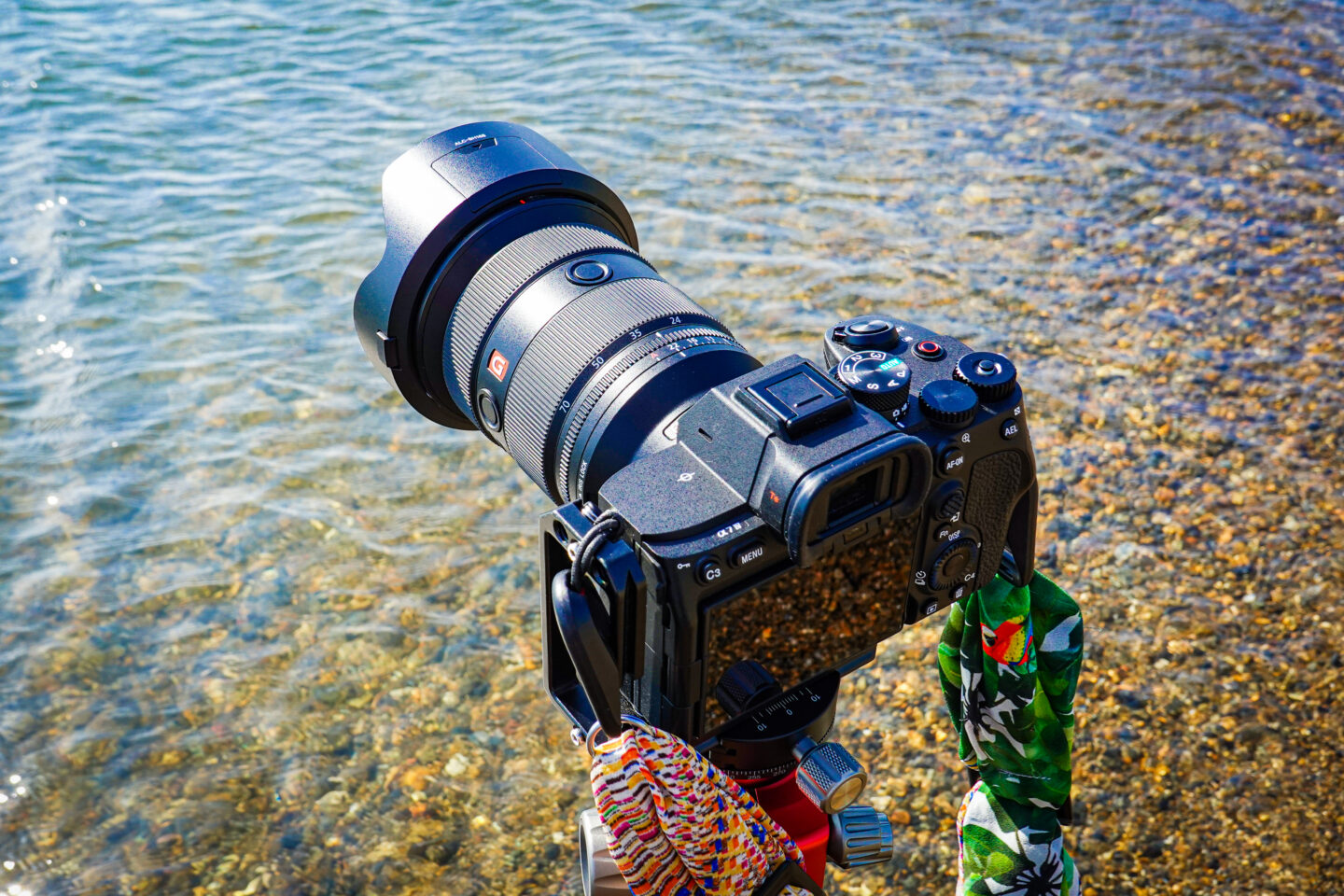 ソニー FE 24-70mm F2.8 GM II レビュー｜葛原よしひろ | ShaSha