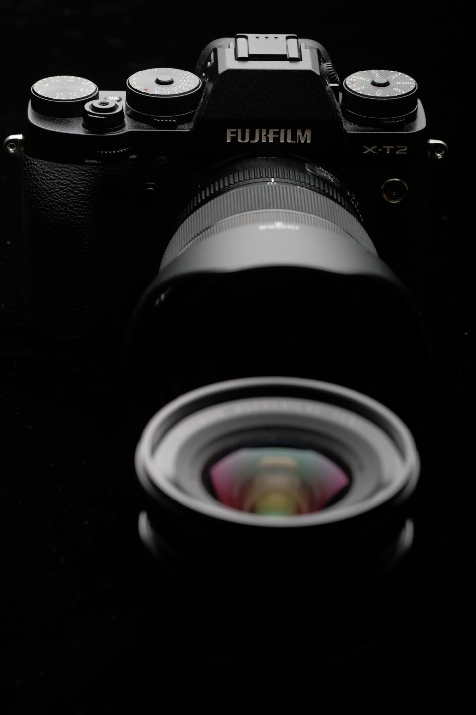 発見と驚きは写真の醍醐味 XF80mmF2.8 R LM OIS WR Macro｜写真が