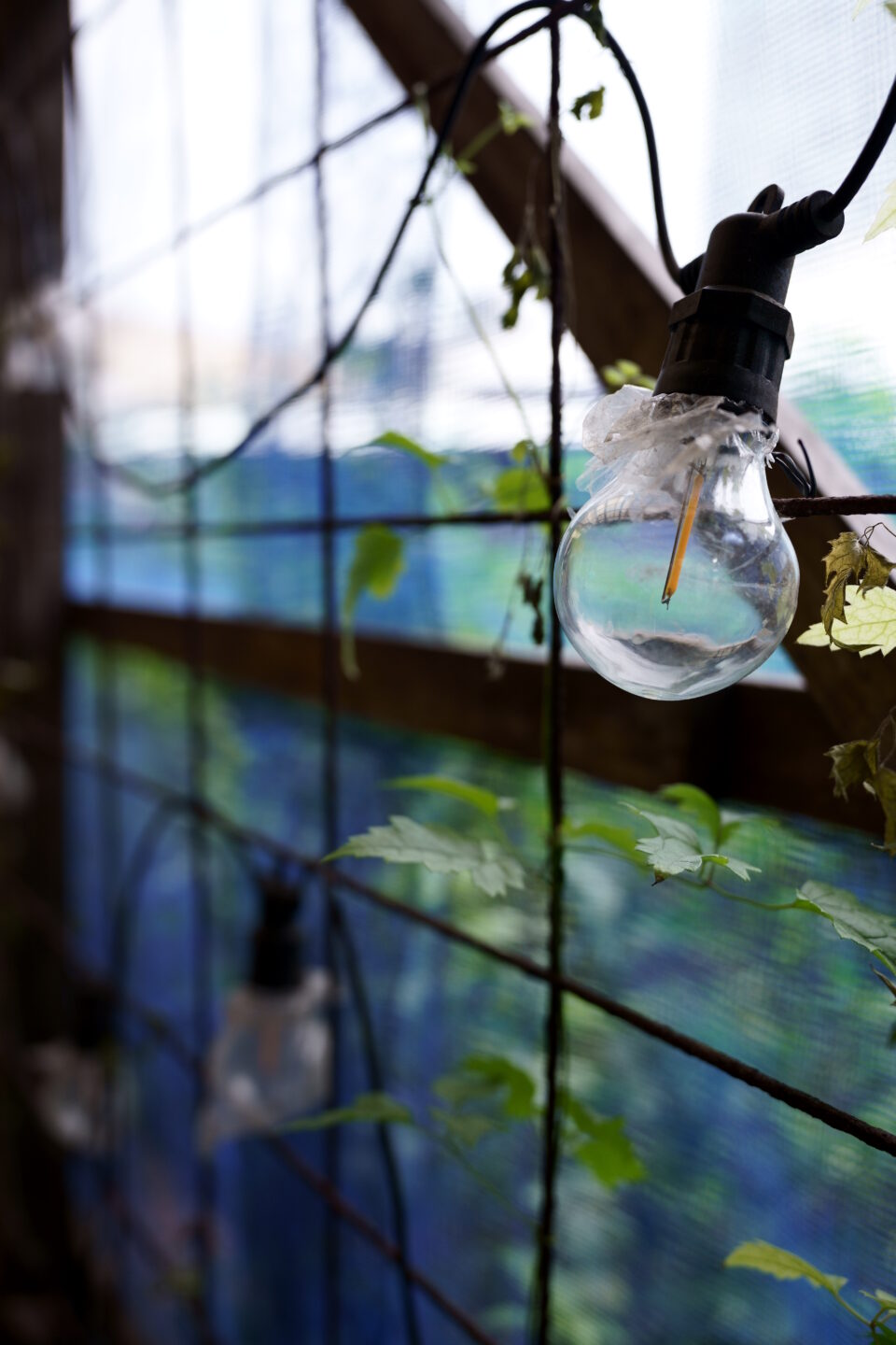 色味を美しく再現するパンケーキレンズ｜ソニー E 20mm F2.8 | ShaSha