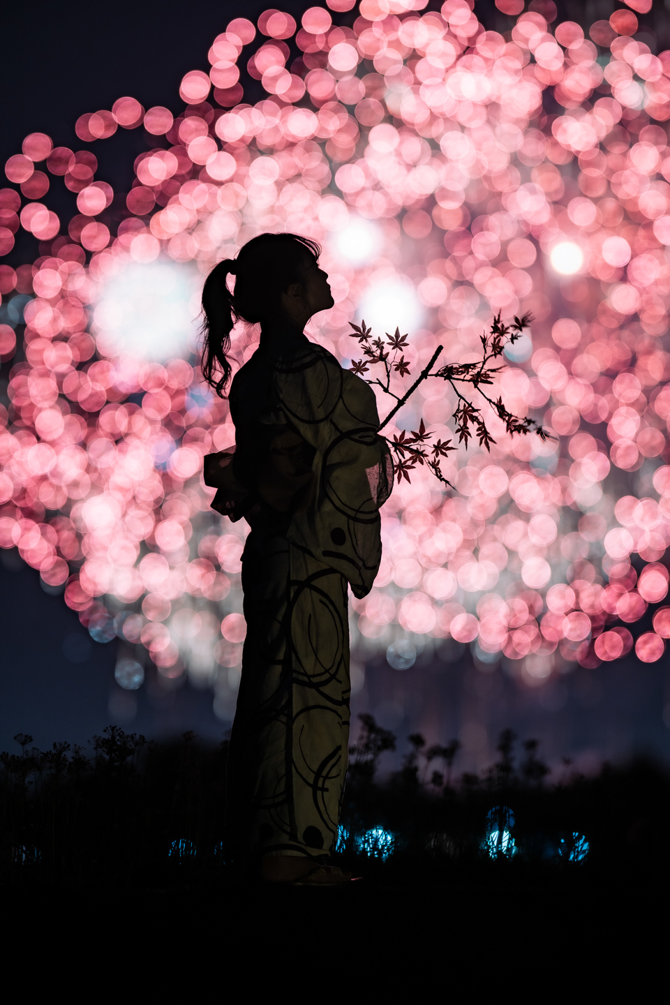 ニコン NIKKOR Z 135mm f/1.8 S Plena レビュー｜究極の玉ボケが