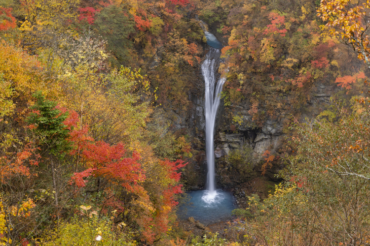 キヤノン RF28-70mm F2 L USM レビュー｜圧倒される繊細な描写力 | ShaSha