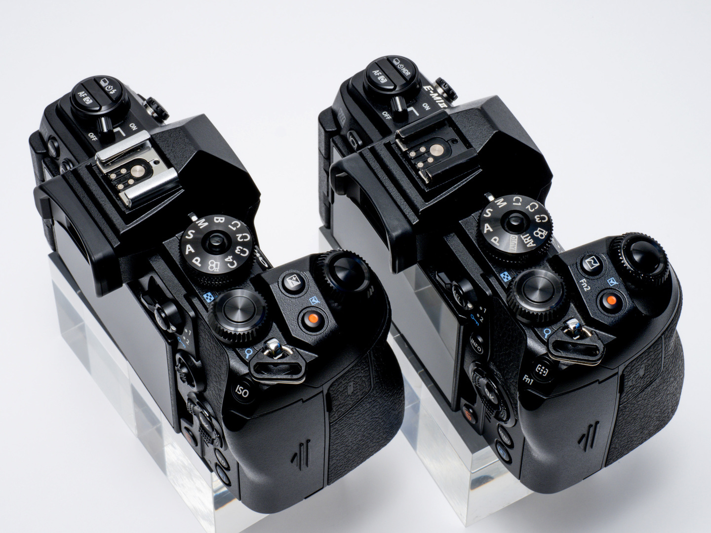 オリンパス OM-D E-M1 MarkIII レビュー｜小型ボディーとプロスペック