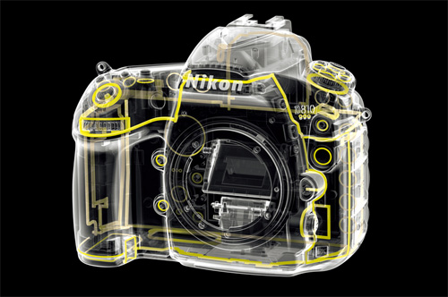 Nikon[ニコン] D810｜イチオシ!デジタルカメラ｜カメラのキタムラ