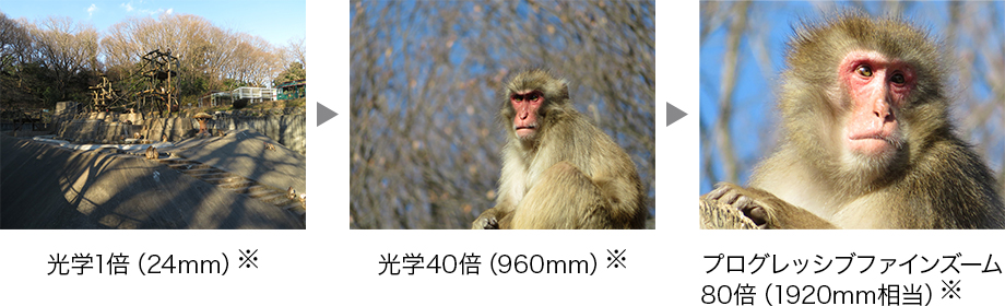 Canon[キヤノン] PowerShot SX720 HS｜イチオシ!デジタルカメラ