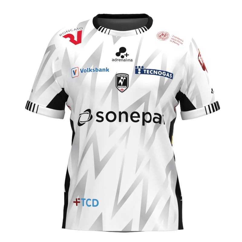 バレーボール イタリア セリエAパッラヴォーロ・パドヴァ 2024-25