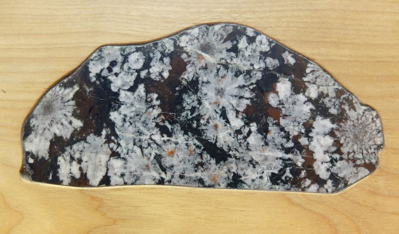 美品 菊花石の世界 石原宣夫 菊花石の世界 / 石原 宣夫【写真・解説