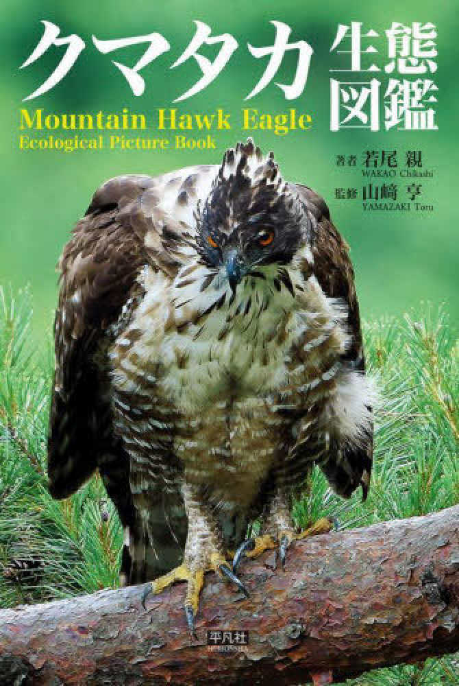 クマタカ生態図鑑 / 若尾 親【著】/山崎 亨【監修】 - 紀伊國屋書店